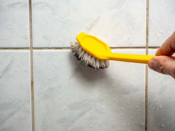 Best Post-Remediation Services in Harker Heights, TX