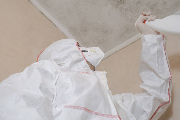 Best Kitchen Mold Remediation in Harker Heights, TX